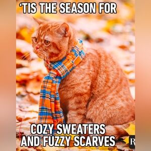 THE MOST WONDERFUL TIME OF THE YEAR ❤️😀 IS ALMOST HERE .. FALL 🍁 Y'ALL